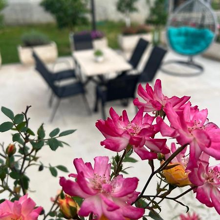 Appartement Sunny Hill - Parking - Fenced Garden - Luxury Loft à Kotor Extérieur photo