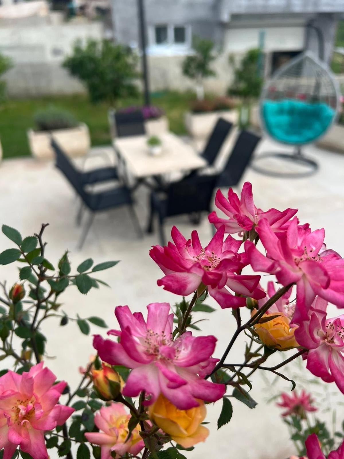 Appartement Sunny Hill - Parking - Fenced Garden - Luxury Loft à Kotor Extérieur photo